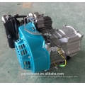 Bison China Zhejiang Confiável 168F Gasolina Motor Gasolina Motor Gasolina Poder Max Motores 6.5HP